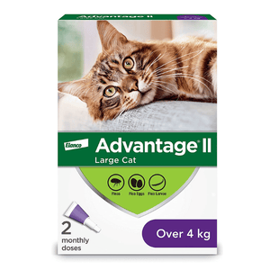 Elanco Advantage II Flea Treatment for Cats - 4 kg and over