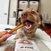 Purely Paws Beef Bully Sticks - 6"