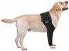 Suitical Recovery Sleeve for Dogs - Black