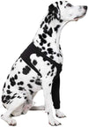 Suitical Recovery Sleeve for Dogs - Black