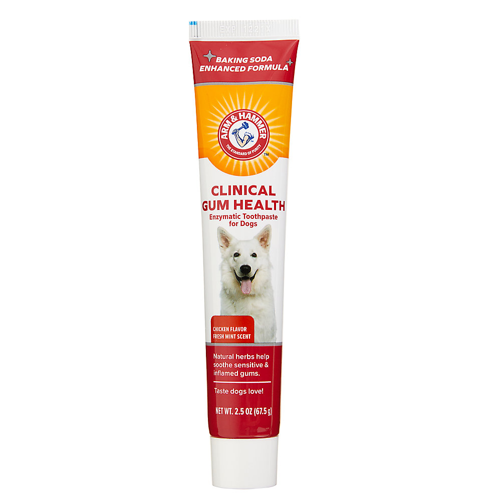 Arm and Hammer Clinical Gum Health Dog Dental Kit - Chicken