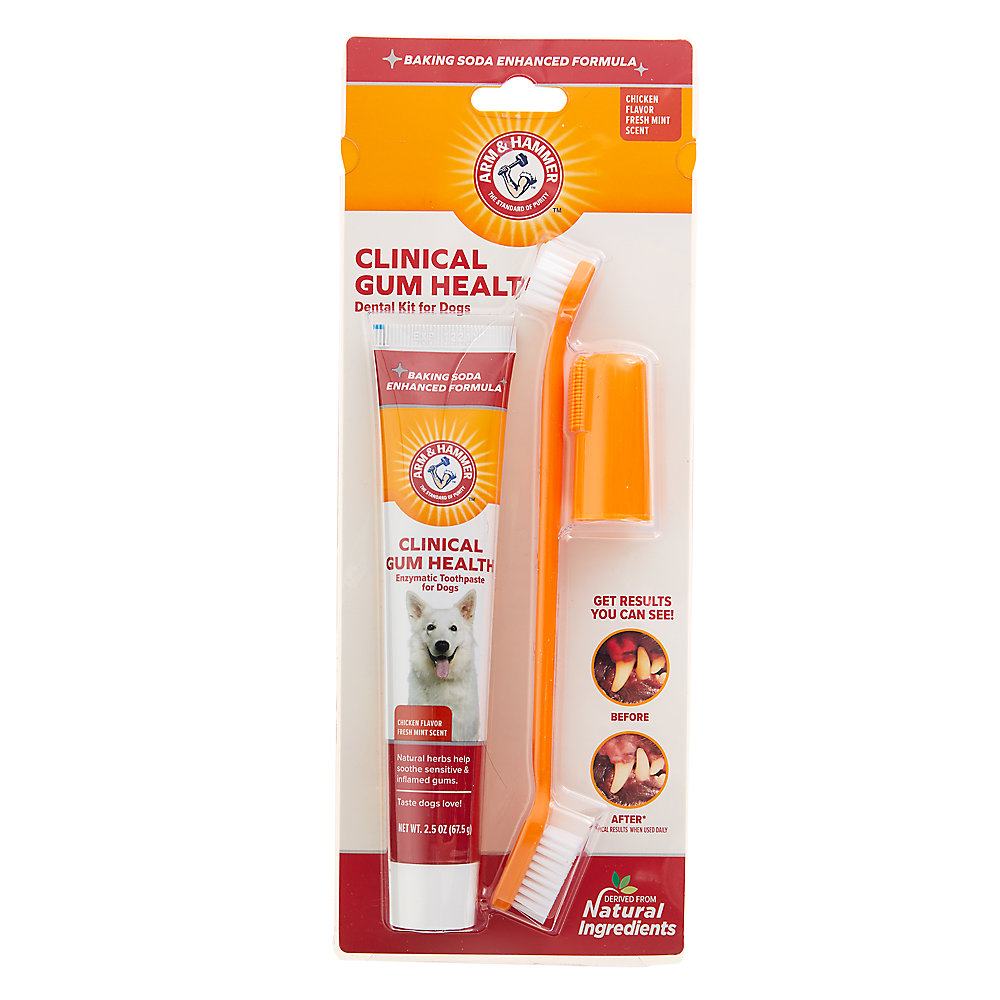 Arm and Hammer Clinical Gum Health Dog Dental Kit - Chicken