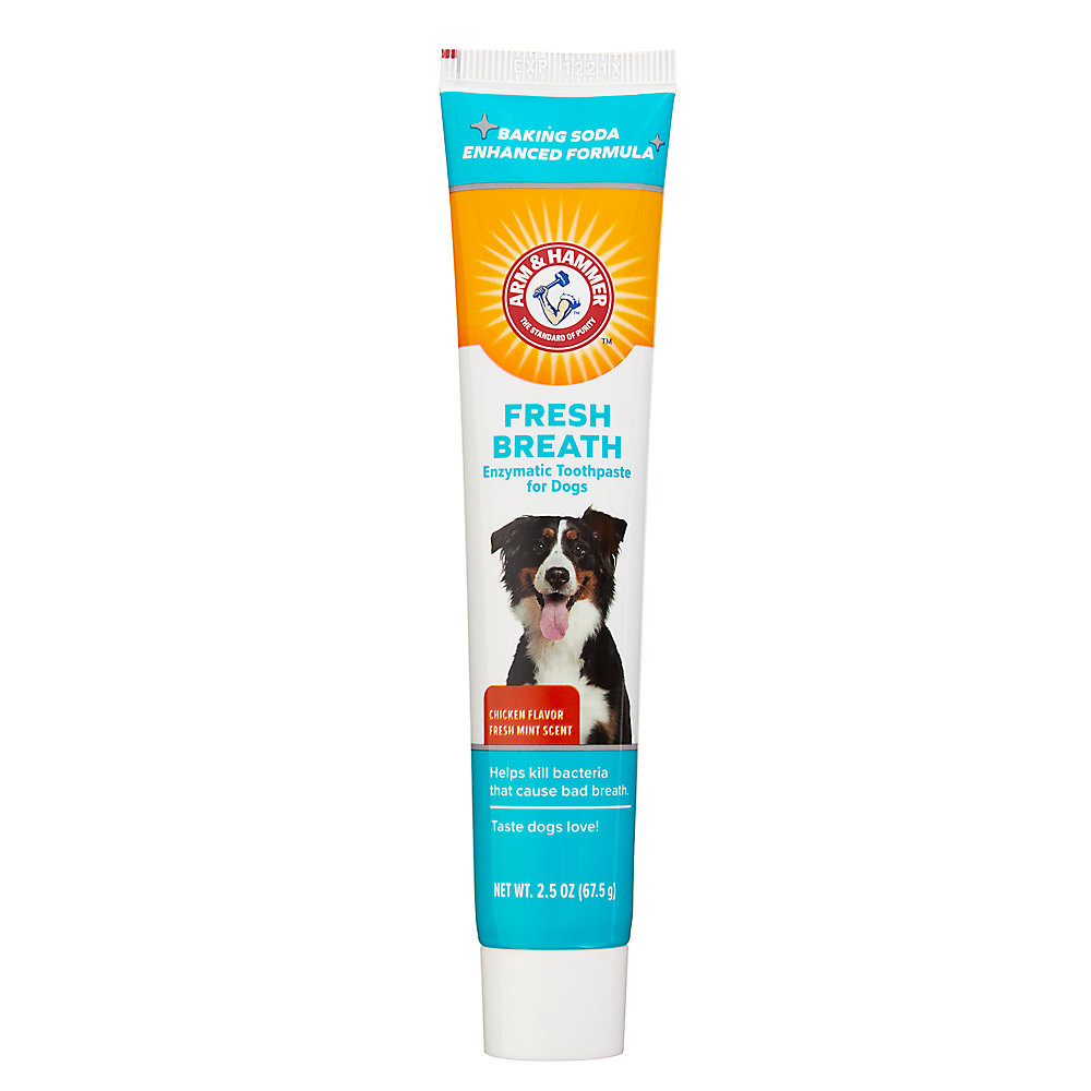 Arm and Hammer Fresh Breath Dog Dental Kit - Chicken