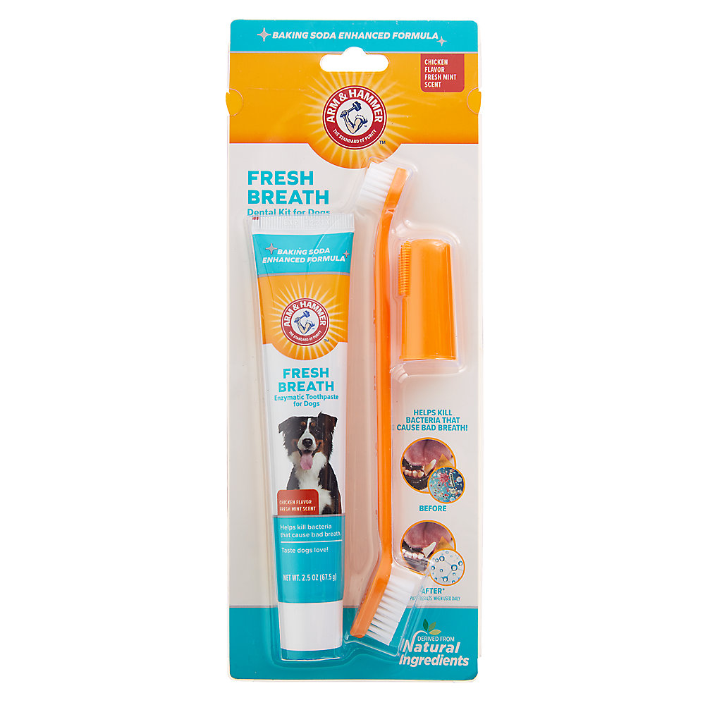 Arm and Hammer Fresh Breath Dog Dental Kit - Chicken