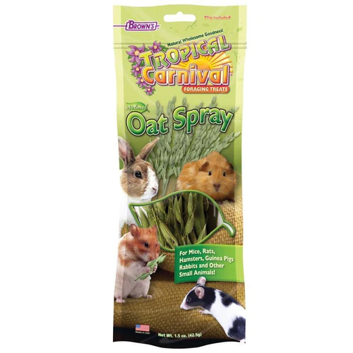 Brown's Tropical Carnival Oat Spray