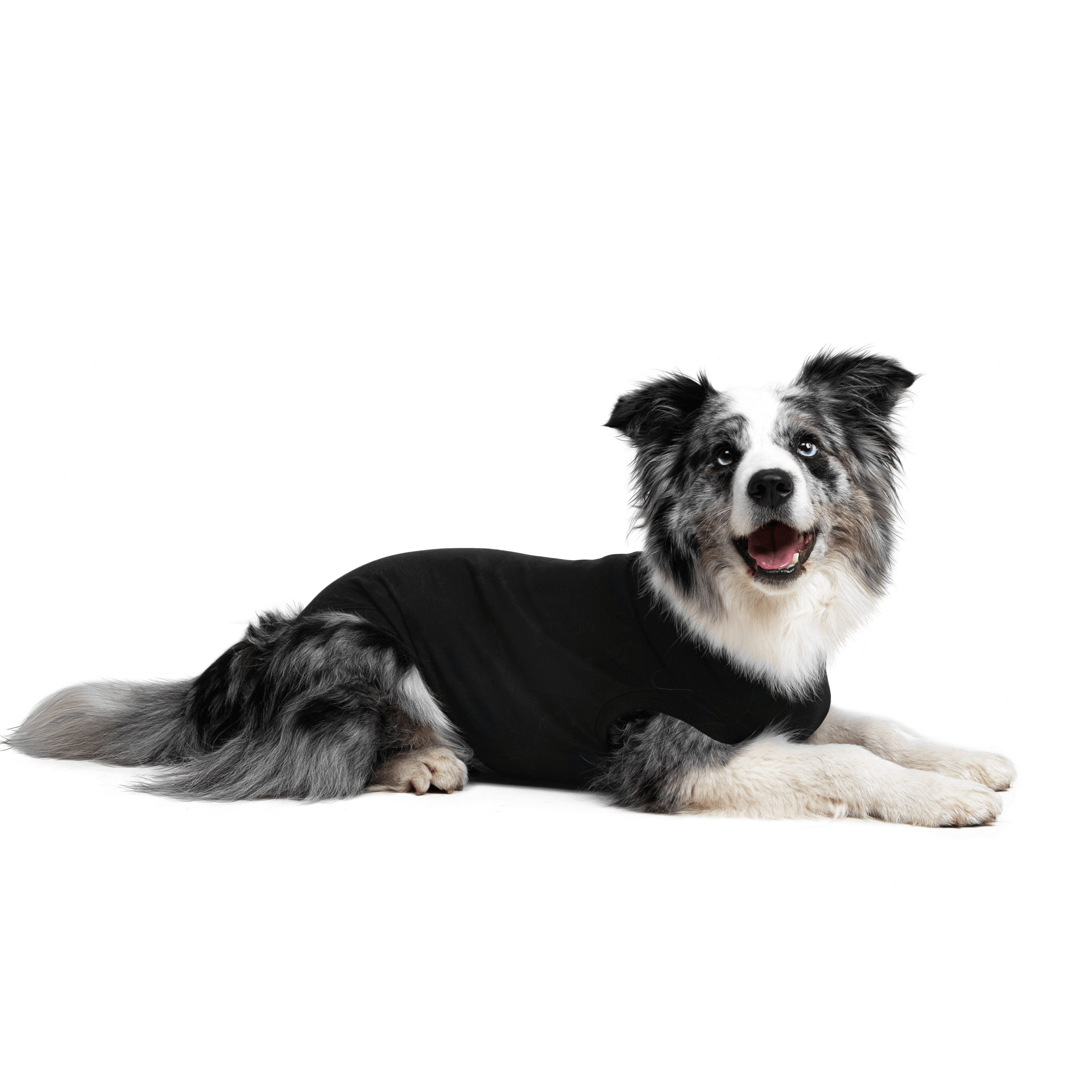 Suitical Recovery Suit for Dogs - Black