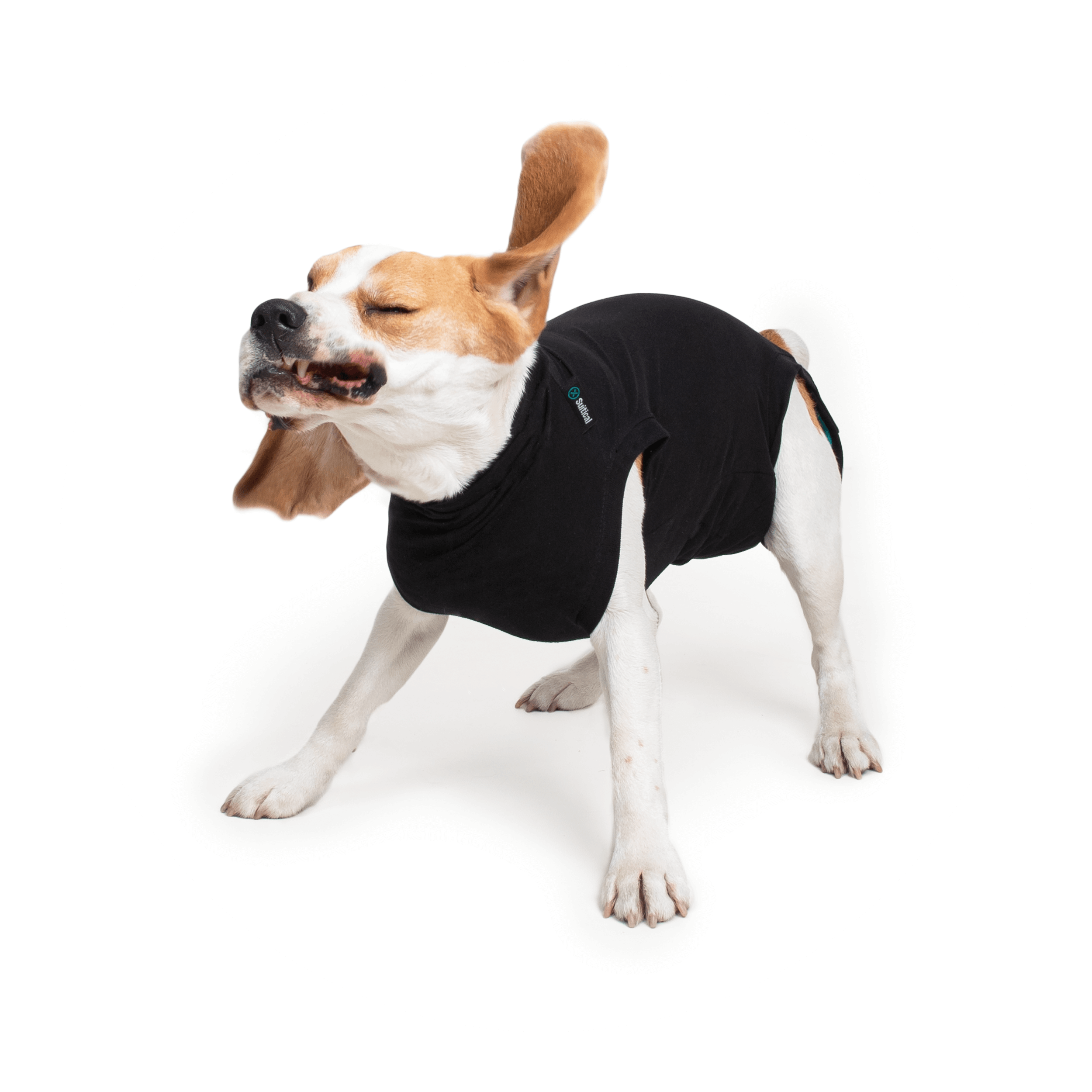 Suitical Recovery Suit for Dogs - Black