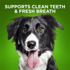 Fruitables BioActive Grain-Free Dental Chews