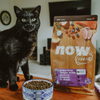 NOW Fresh Grain-Free Senior Cat Food