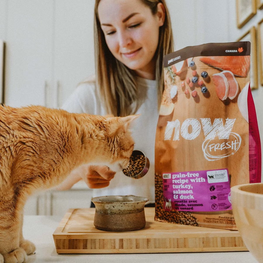 NOW Fresh Grain-Free Adult Cat Food