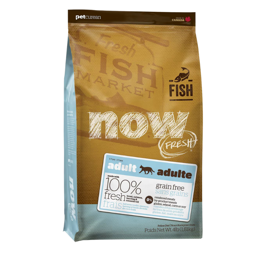 NOW Fresh Grain-Free Adult Cat Food Fish Recipe