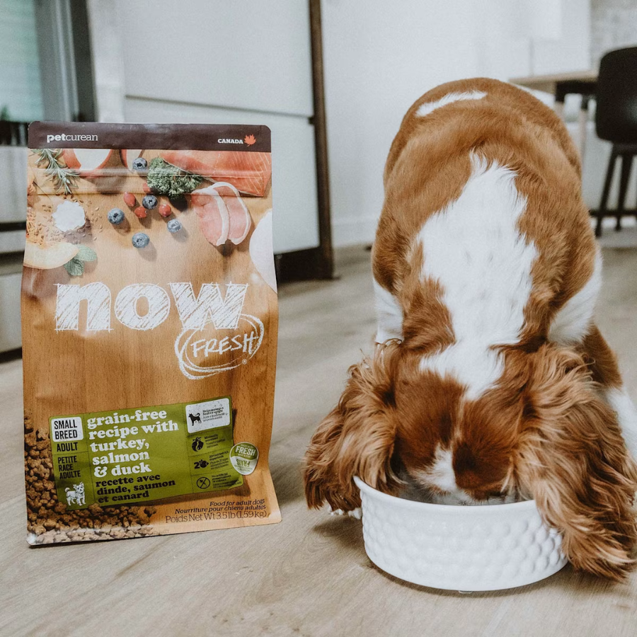 NOW Fresh Grain-Free Small Breed Adult Dog Food