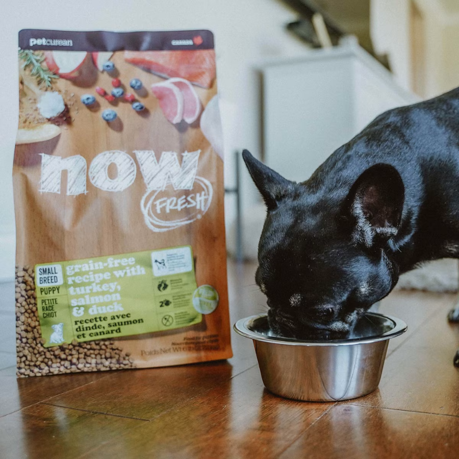 NOW Fresh Grain-Free Small Breed Puppy Food