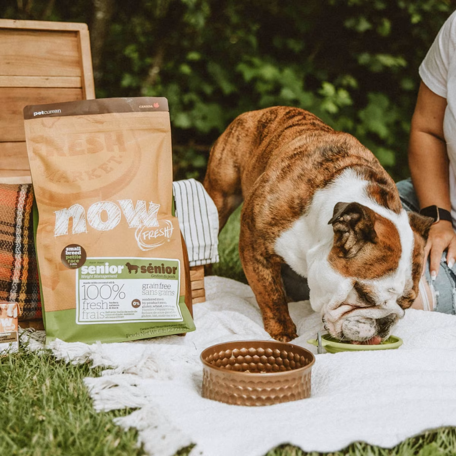 NOW Fresh Grain-Free Small Breed Senior Dog Food