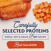 Natural Balance Limited Ingredient Diet Sweet Potato and Salmon - 12 Cans