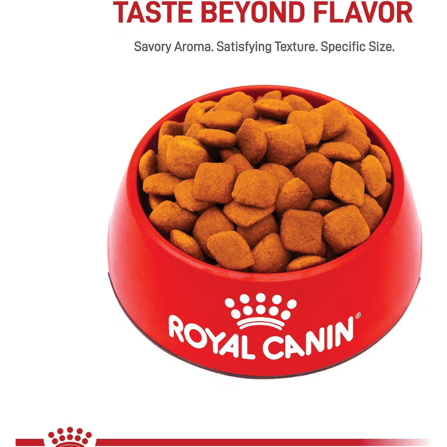 Royal Canin Golden Retriever Adult Dry Dog Food - 27 lbs