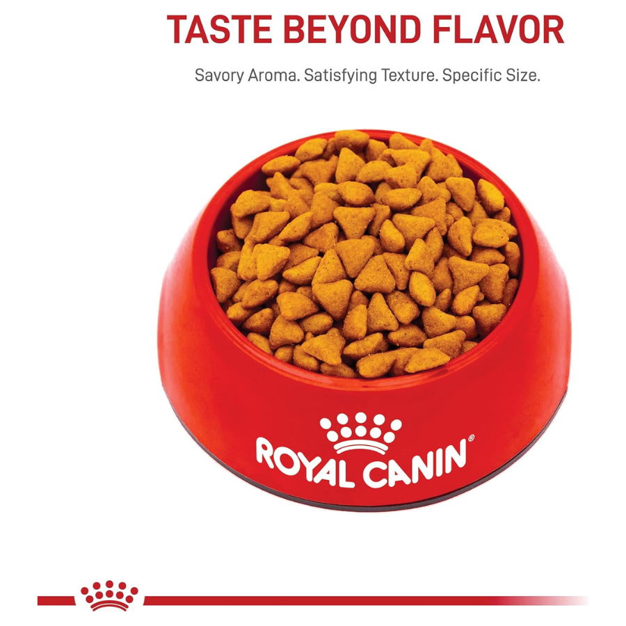 Royal Canin Indoor Adult Dry Cat Food