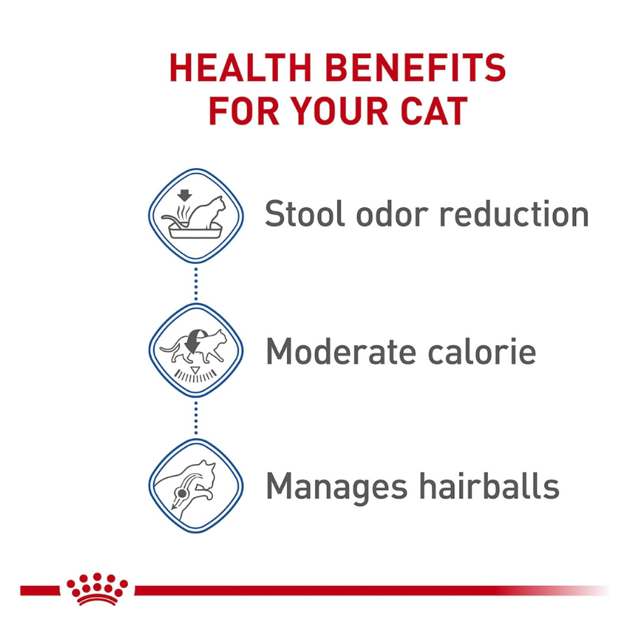 Royal Canin Indoor Adult Dry Cat Food