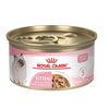 Royal Canin Kitten Thin Slices in Gravy Canned Cat Food