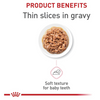 Royal Canin Kitten Thin Slices in Gravy Canned Cat Food