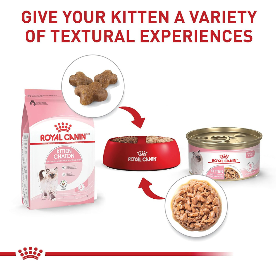 Royal Canin Kitten Thin Slices in Gravy Canned Cat Food