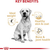 Royal Canin Labrador Retriever Adult Dry Dog Food - 27 lbs