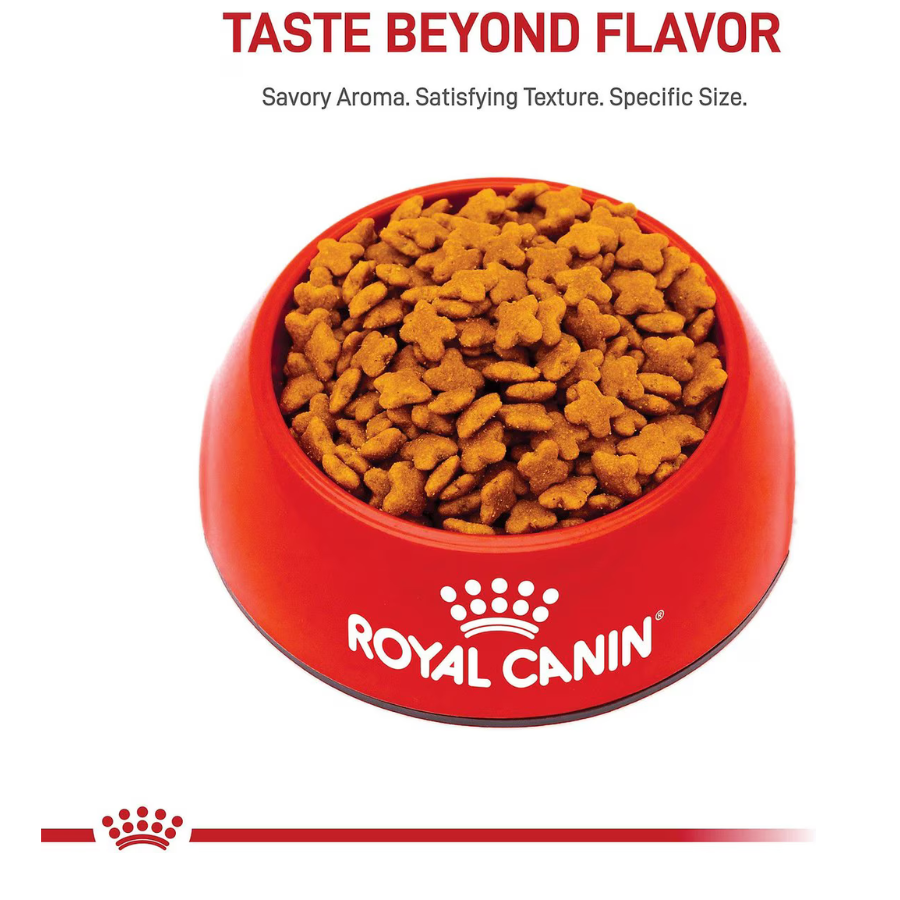 Royal Canin Small Adult Dry Dog Food