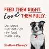 Stella and Chewy's Freeze-Dried Raw Meal Mixers Savory Salmon and Cod