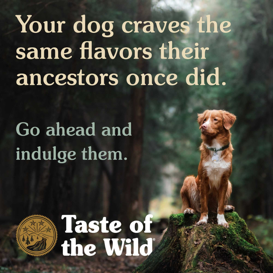 Taste of the Wild High Prairie Canine Recipe with Roasted Bison and Roasted Venison