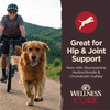 Wellness Core Healthy Joints Crunchy Treats - 8 oz