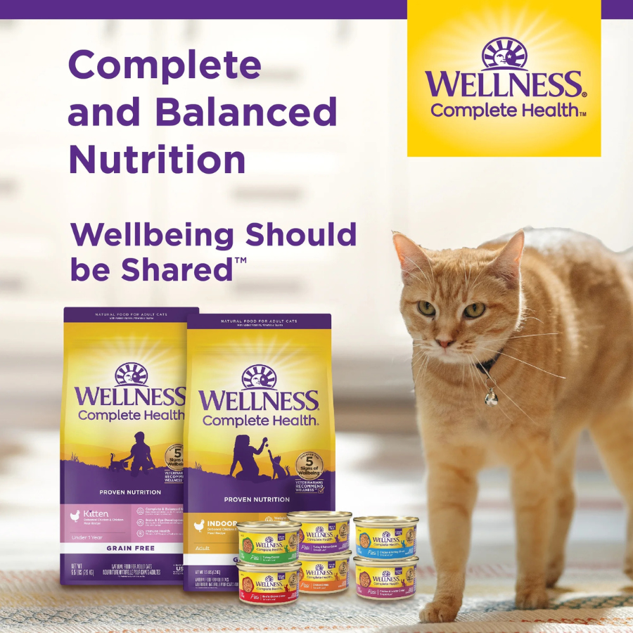 Wellness Pate Chicken Entree for Kittens (24 Pack, 3 oz Cans)