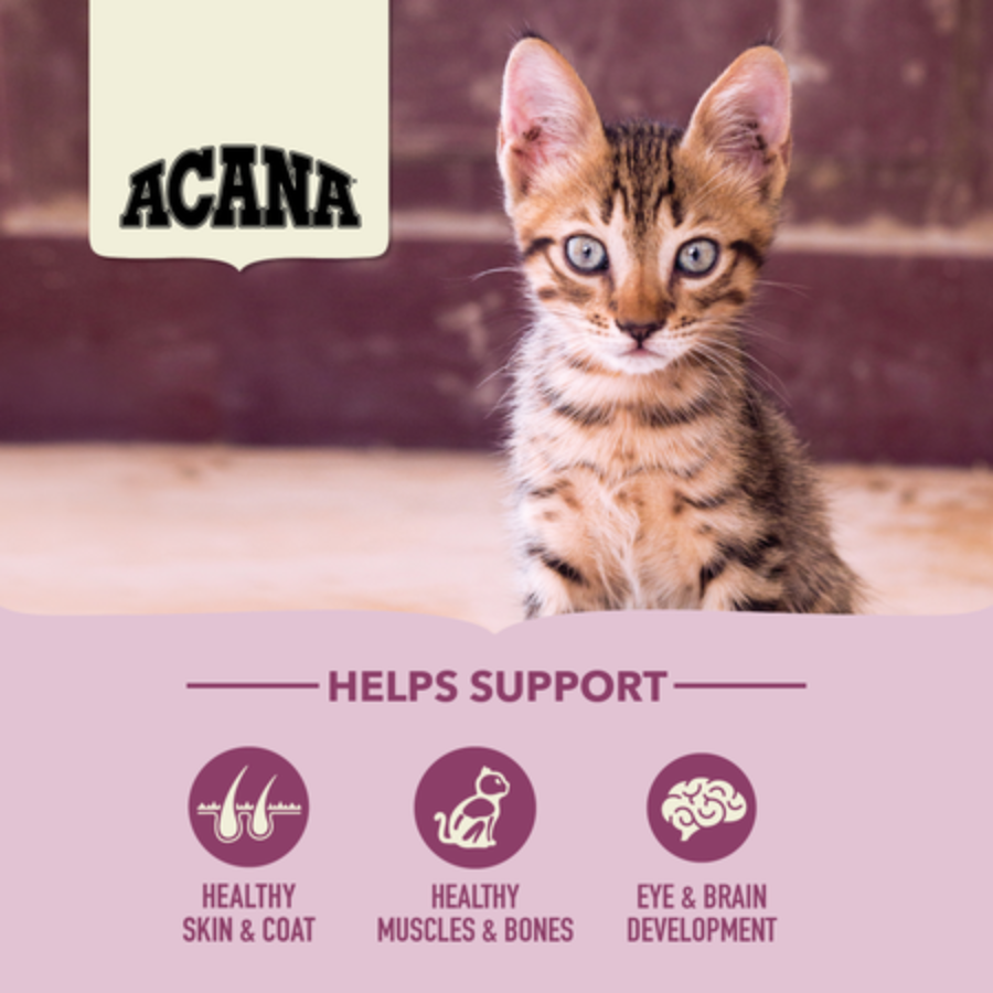 Acana First Feast Kitten