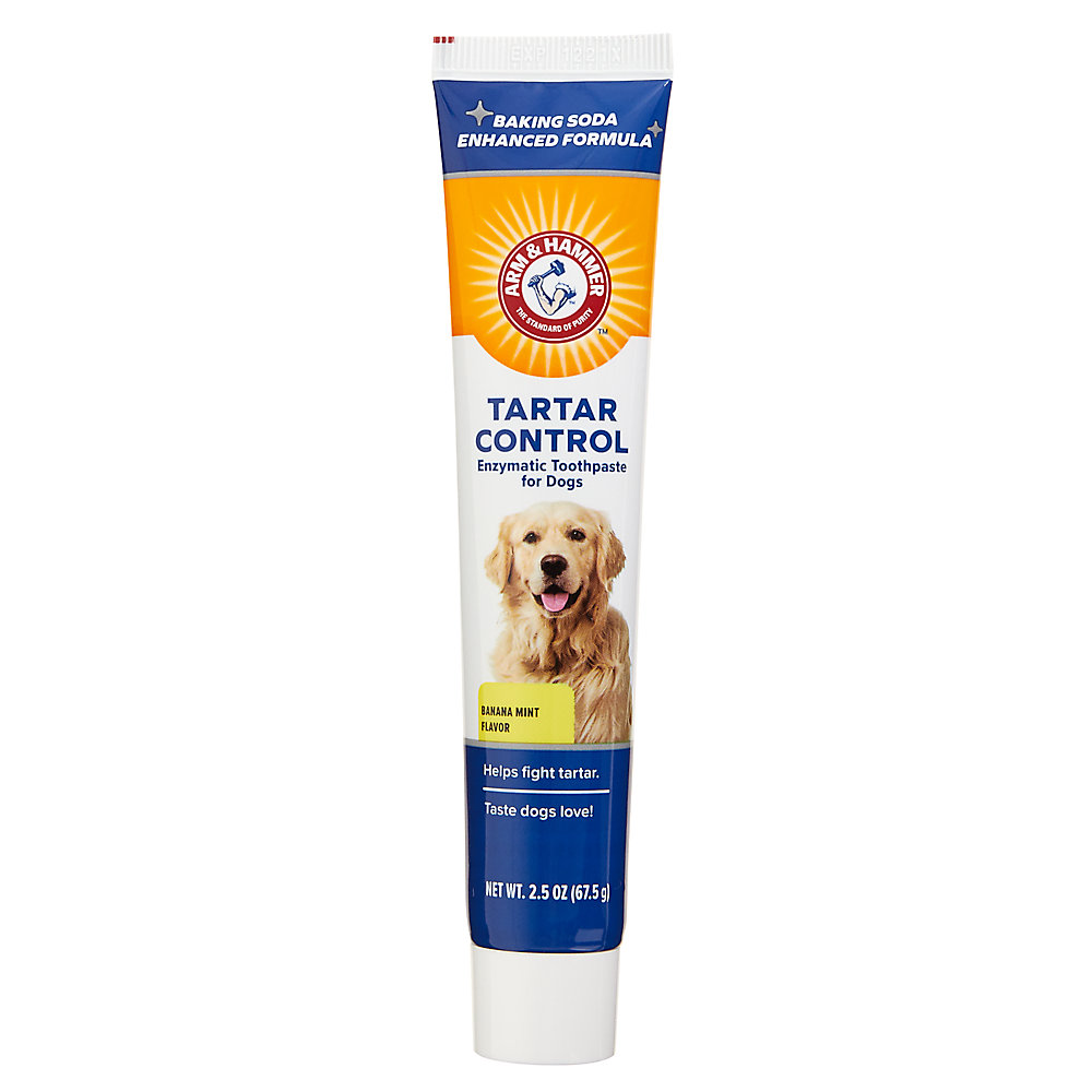 Arm and Hammer Tartar Control Dental Kit for Dogs - Banana Mint