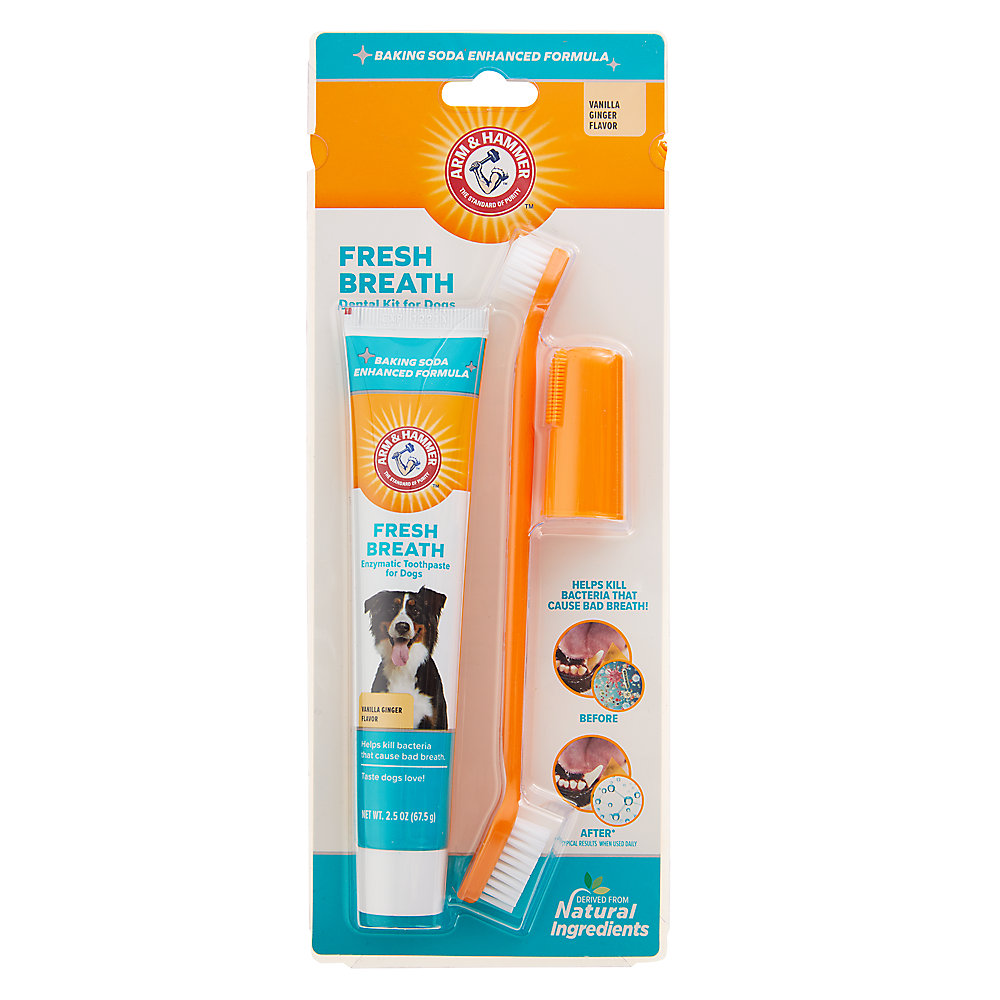 Arm and Hammer Fresh Breath Dog Dental Kit - Vanilla Ginger