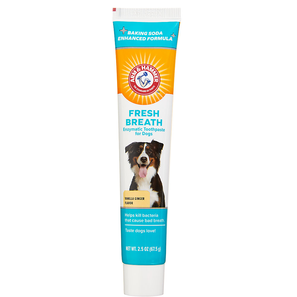 Arm and Hammer Fresh Breath Dog Dental Kit - Vanilla Ginger