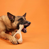 BetterBone Tough Beef Flavour Dog Chew - Large