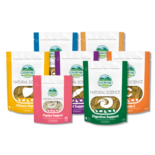 OXBOW Essentials Supplement Bundle - Save 10%