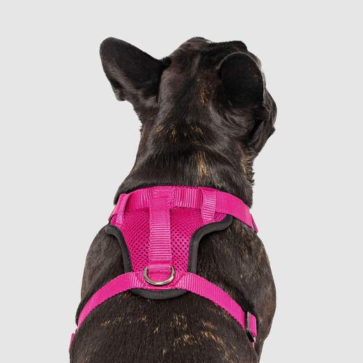 Canada Pooch Everything Harness Mesh - Pink