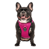 Canada Pooch Everything Harness Mesh - Pink