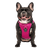 Canada Pooch Everything Harness Mesh - Pink