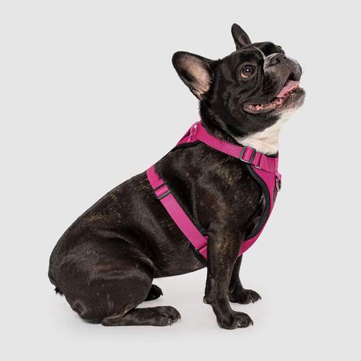 Canada Pooch Everything Harness Mesh - Pink