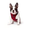 Canada Pooch Everything Harness Mesh - Red