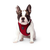 Canada Pooch Everything Harness Mesh - Red