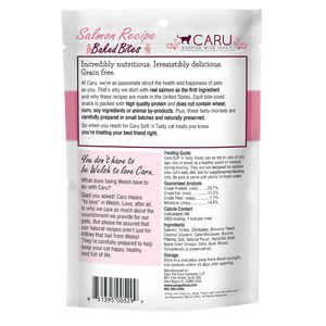 Caru Soft ‘n Tasty Baked Salmon Bites for Cats - 2.75 oz