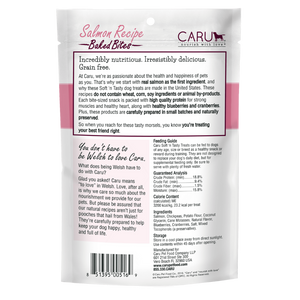 Caru Soft'n Tasty Salmon Dog Treats - 4 oz