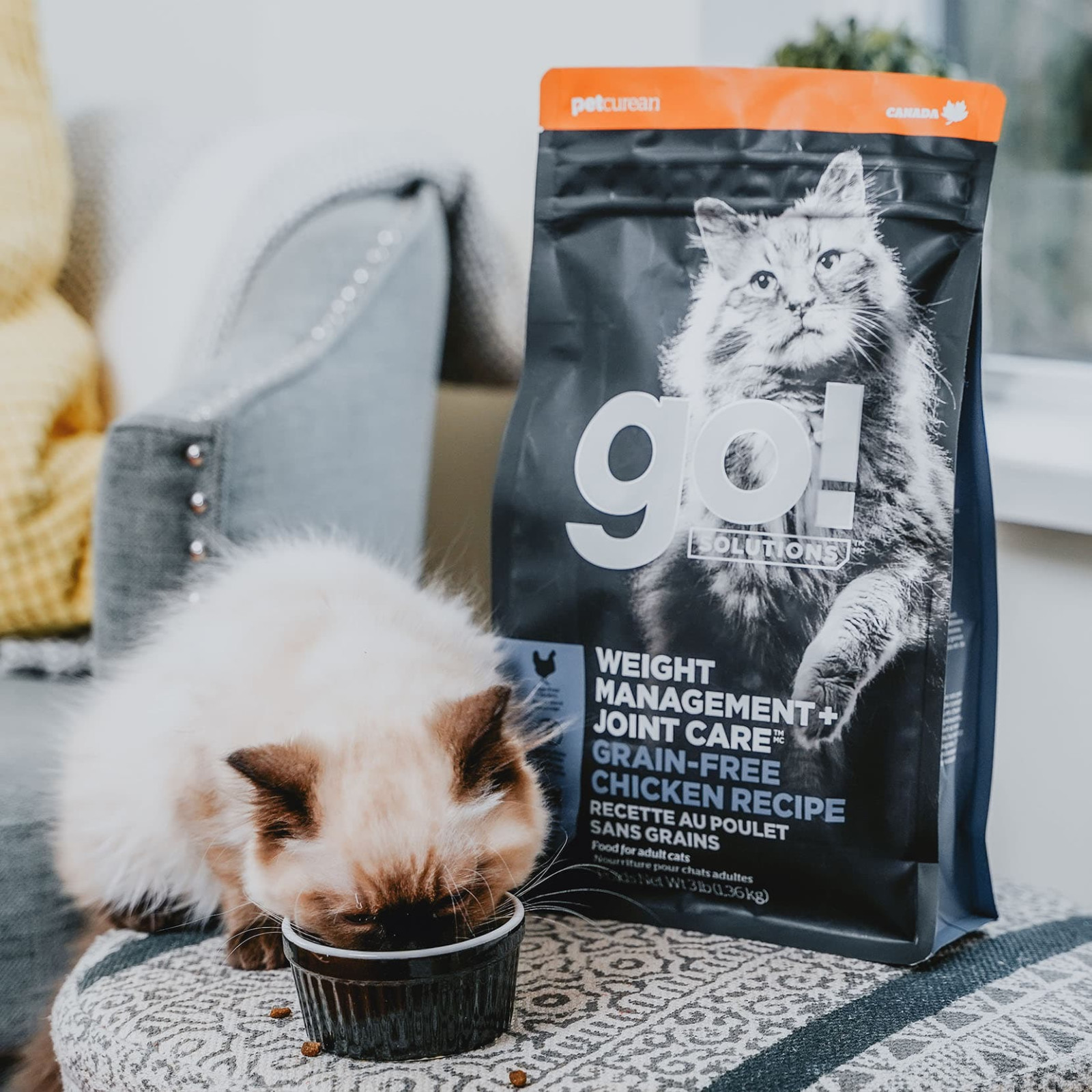 Go! Solutions Weight Management and Joint Care Grain-Free Chicken for Cats