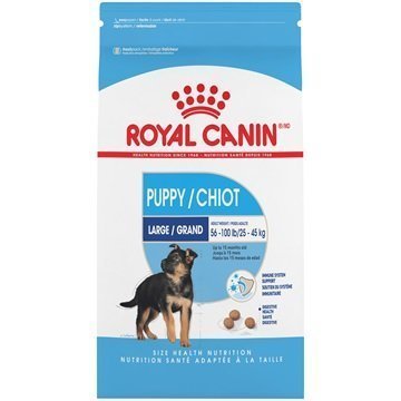 Royal Canin Large Puppy Dry Dog Food