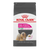 Royal Canin Small Fussy Appetite Dry Dog Food