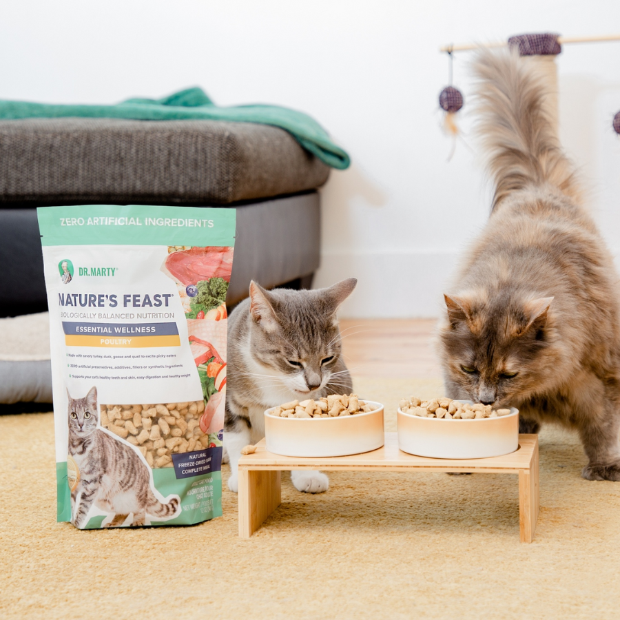 Dr. Marty Nature's Feast Essential Wellness Poultry for Cats