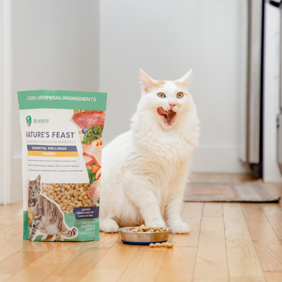 Dr. Marty Nature's Feast Essential Wellness Poultry for Cats